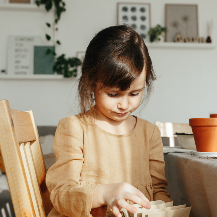 Montessori Toys & Furniture for 4-6 Year Old Children